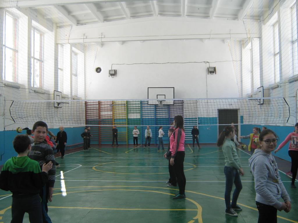sportzall